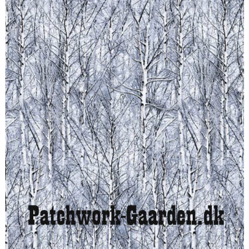 Icy Trees : Vinter skov