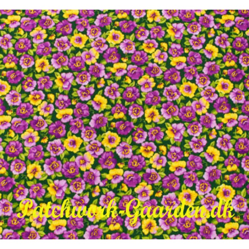 Purple Passion : stedmoder blomster