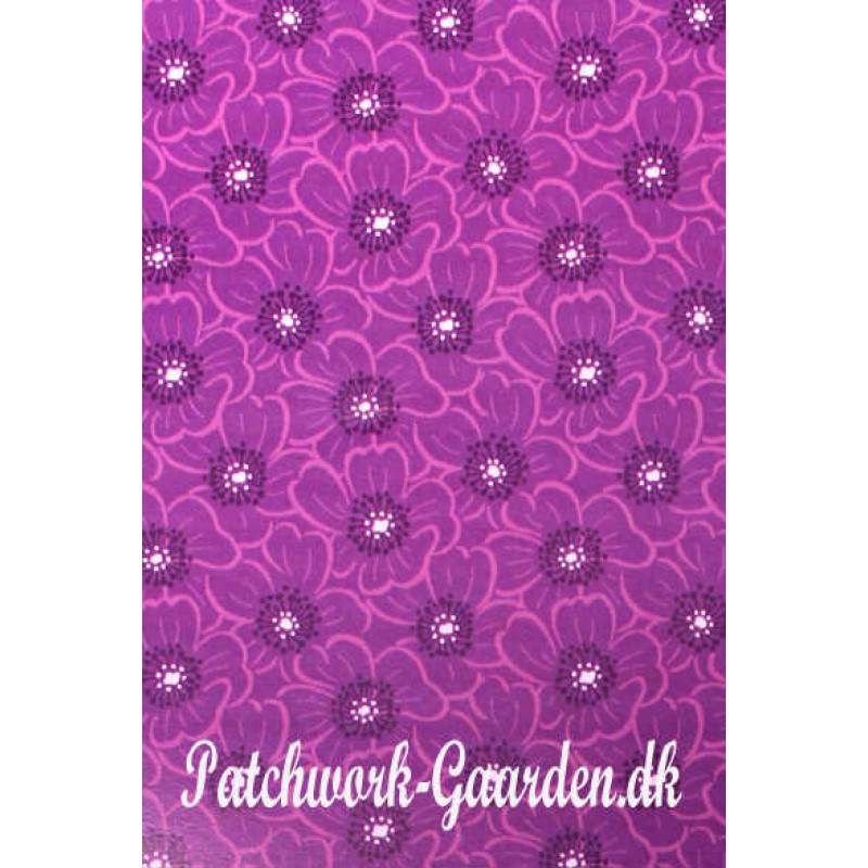 Purple Passion : Lilla blomster