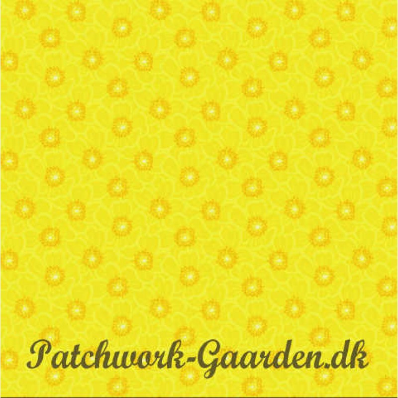 Purple Passion : Gule Blomster