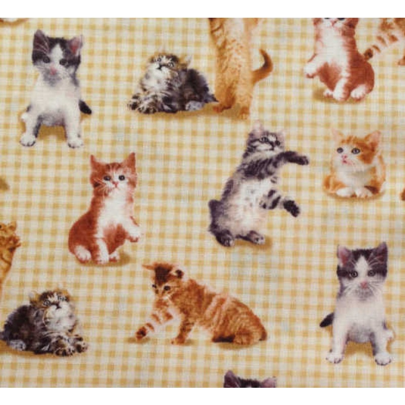 Puppie n' Kitten : Killinger