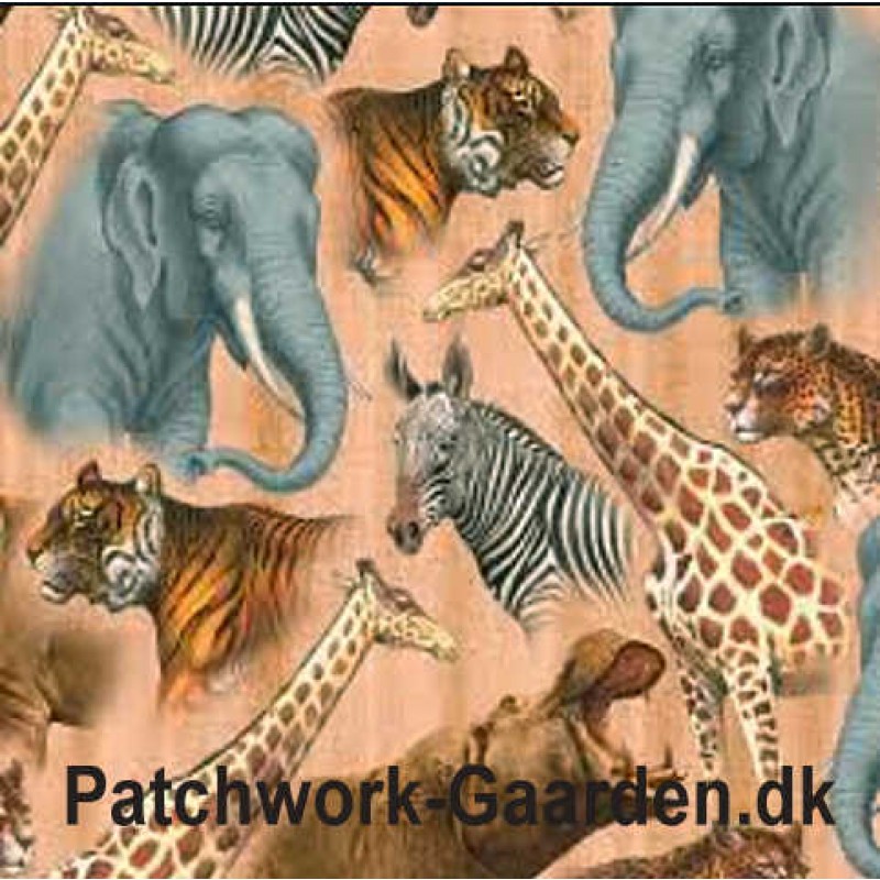 Out of Africa : Vilde dyr