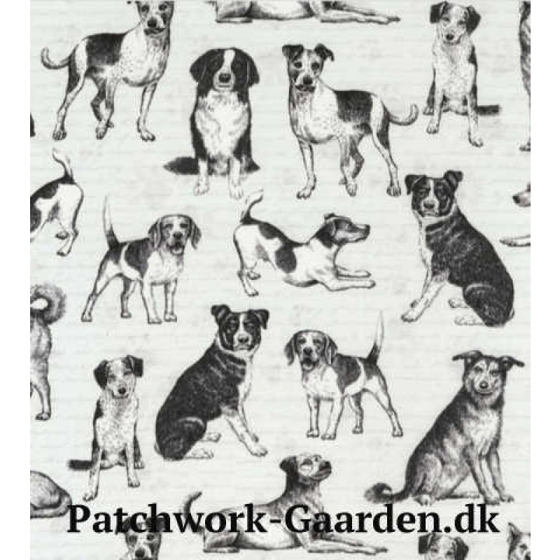 Pups and Paws : Hunde