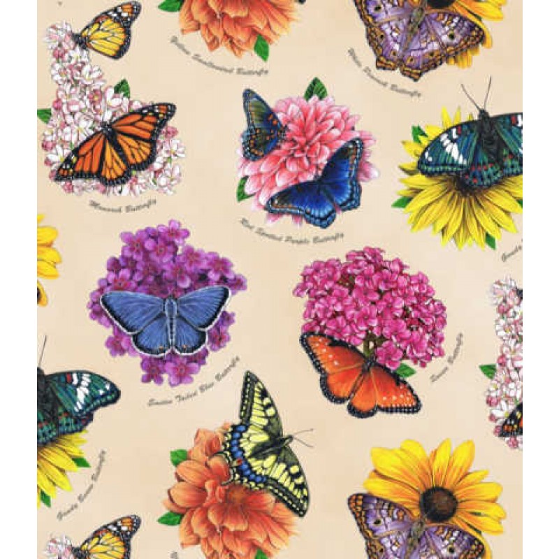 Butterfly Garden - sommerfugle