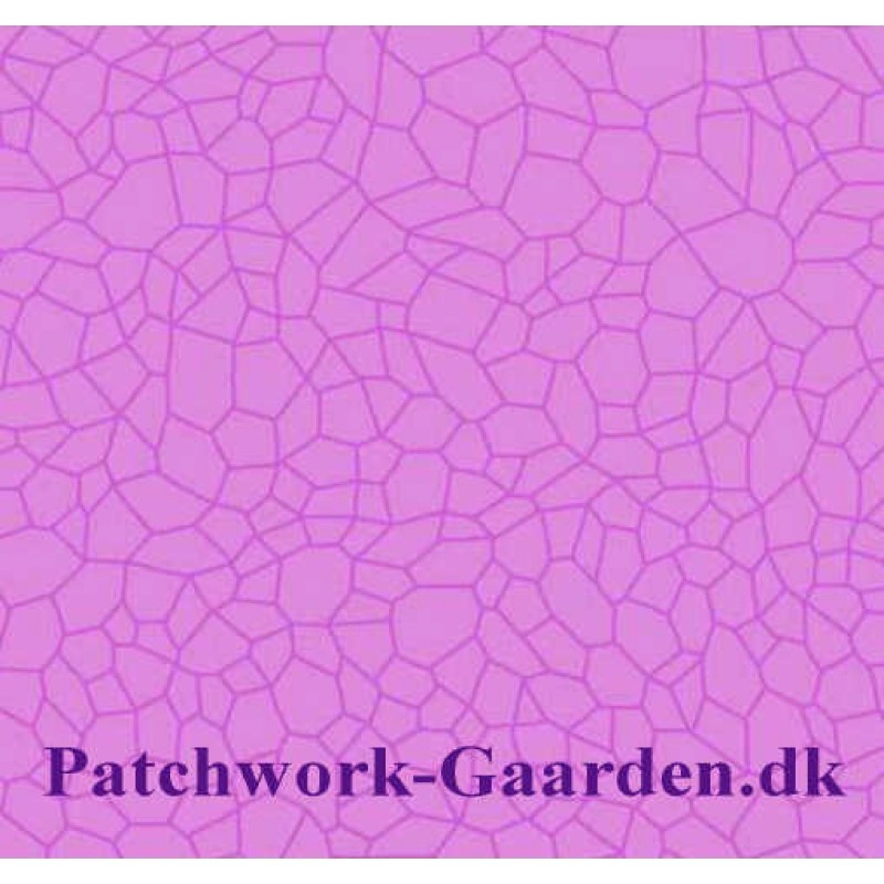 Bear Essential 4 : Lilla Crackle