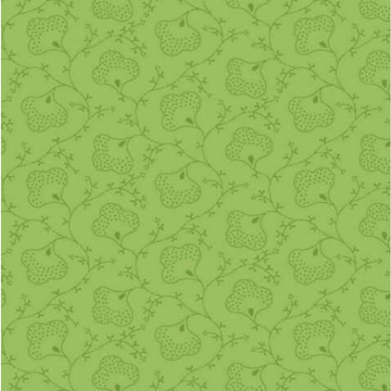 Bear Essentials 4 : 678-g