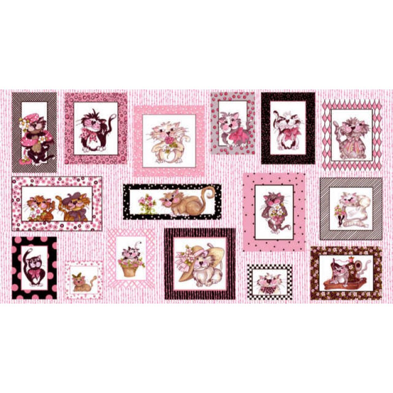 Fancy Cats : Katte Billeder