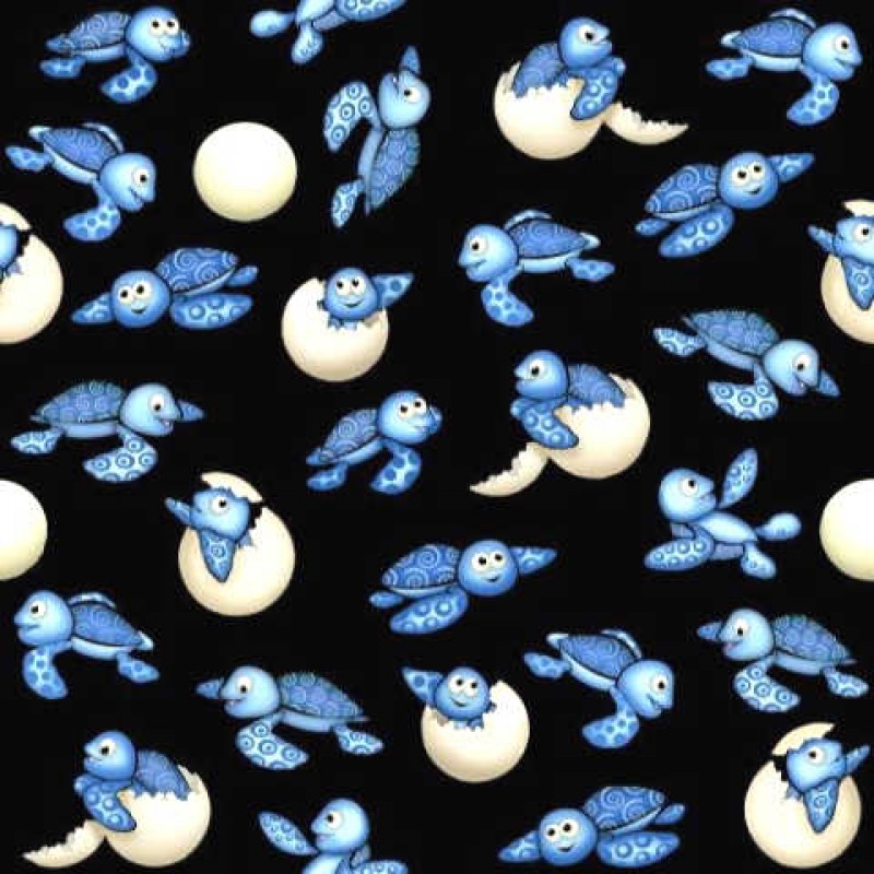 Under the Sea : Skildpadder