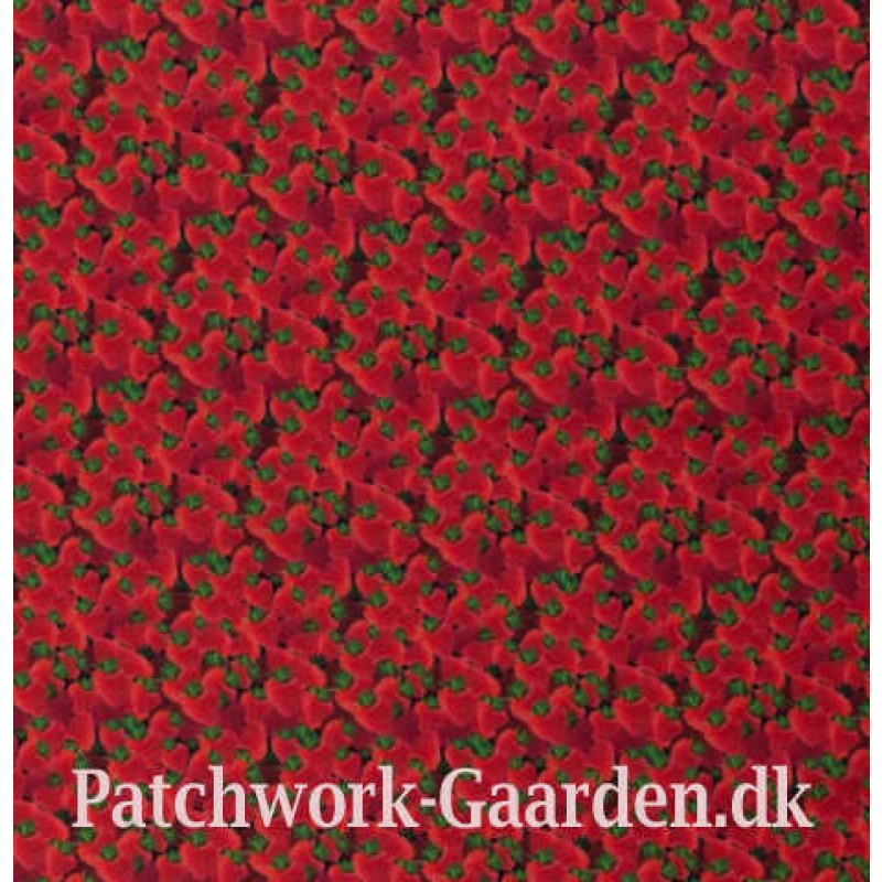 YummyJordbr147cmbredt-0