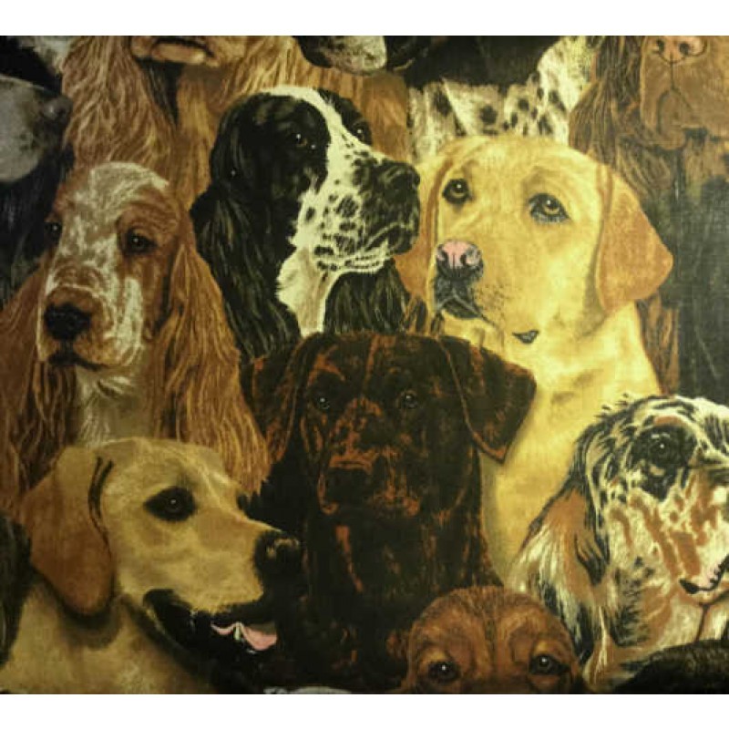 Gun Dogs : Jagt hunde