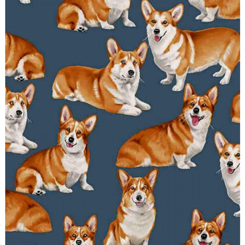 Pure Breed : Corgies