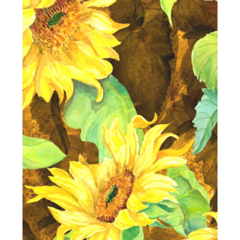 Slice of Sunshine : kæmpe solsikker