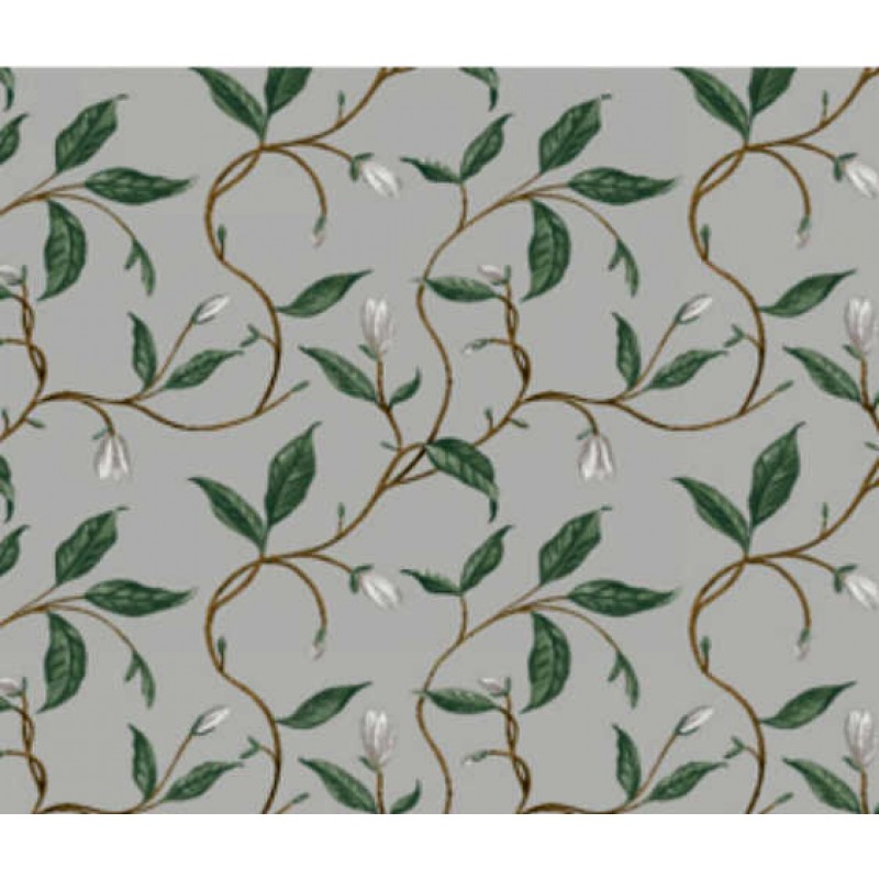 Blossom Wine : Magnolia blomster knopper.