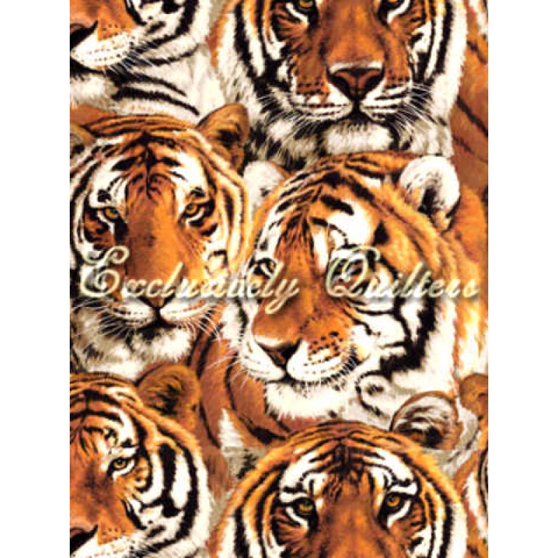 Tigers : Tiger ansigter.