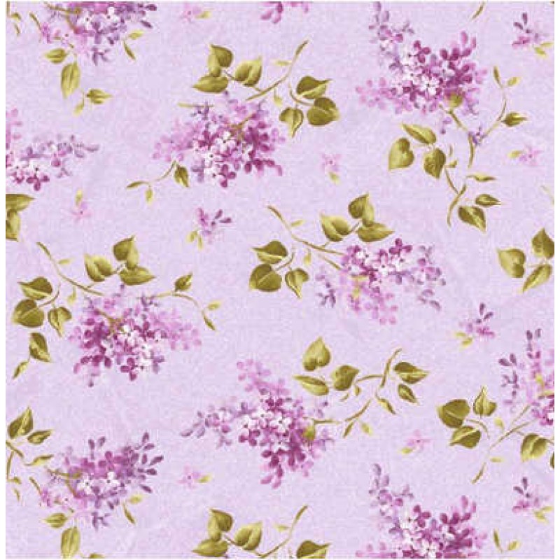 Fresh Lilacs : Lilla syrener