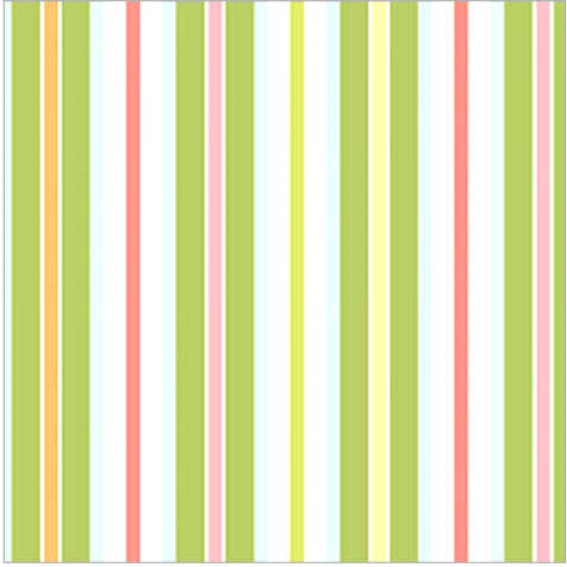 Rainbow Garden : Striber