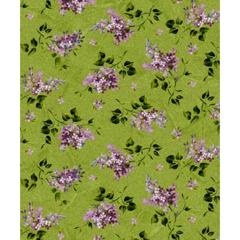 Fresh Lilacs : Lilla syren grene