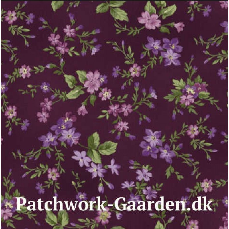 Aubergine : Små lilla blomster