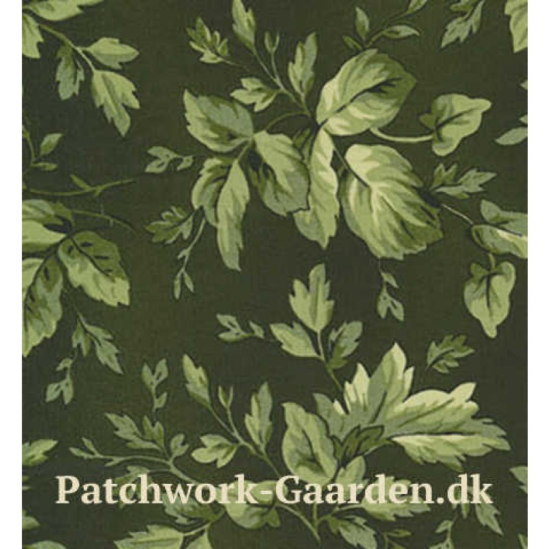 Aubergine : Grønne Blade