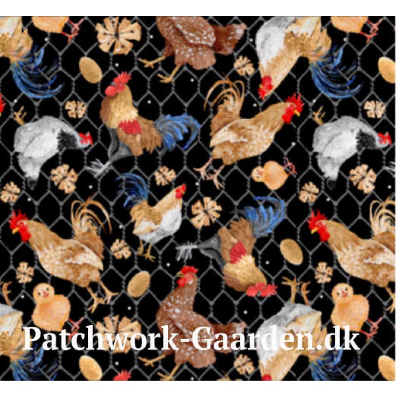 Chicken Scratch : Høns