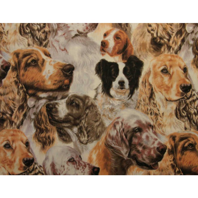 NEDSAT : Best of Show : Packed Spaniels