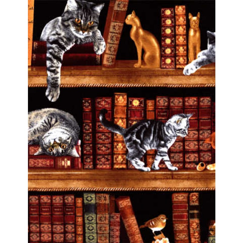 Cats in the Library