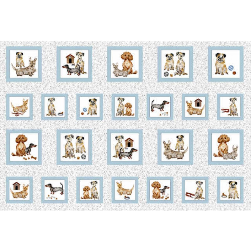 Pooch Portraits : Panel