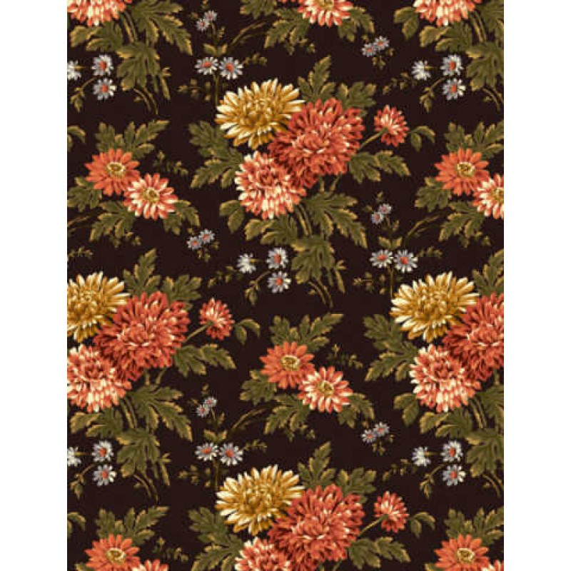 Chrysanthemum : Store Blomster