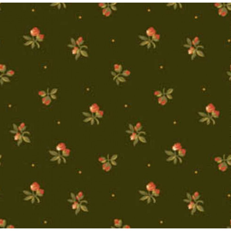 Chrysanthemum : Grøn