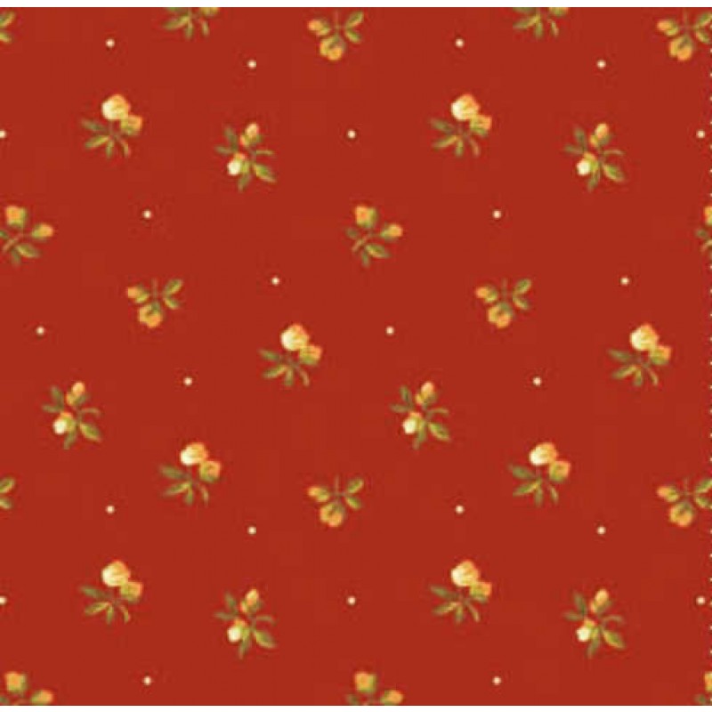 Chrysanthemum : Rødbrun