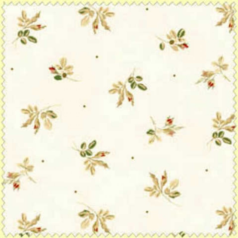 Tomorrows Promise : Creme