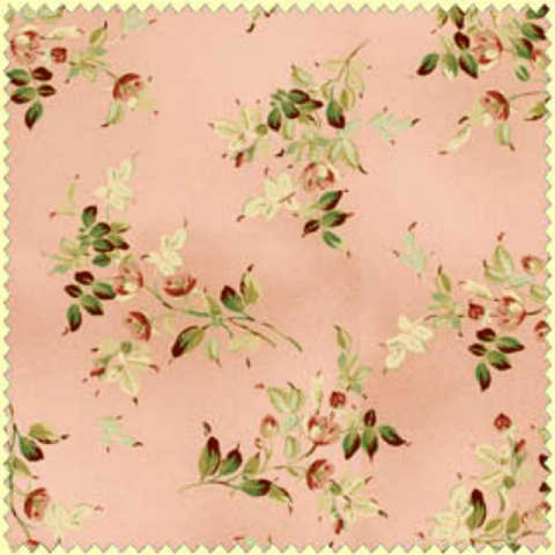 Tomorrows Promise - Rosa