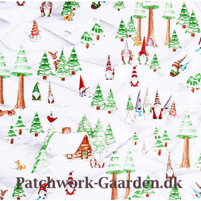 GNOMING THROUGH THE SNOW : Landskab