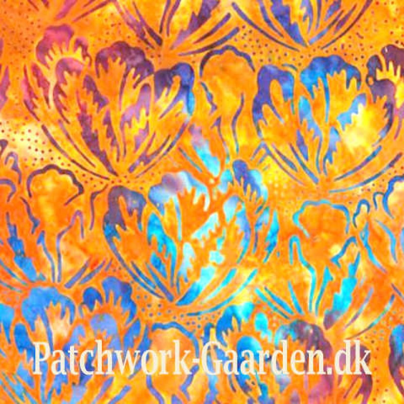 Tonga Treats : Dragonfly