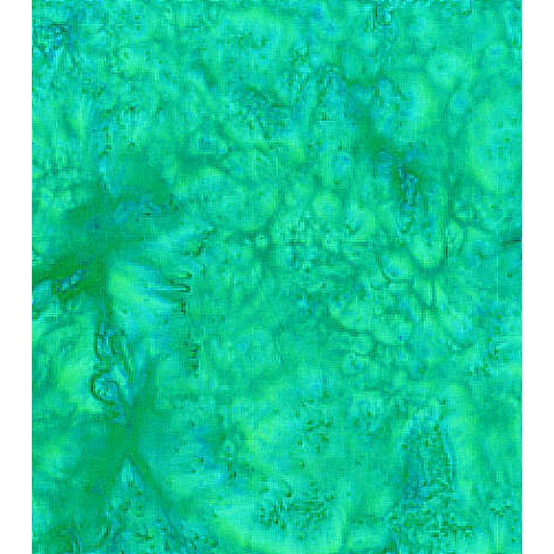 Anthology - BeColorful : BC21q-x Dragonfly