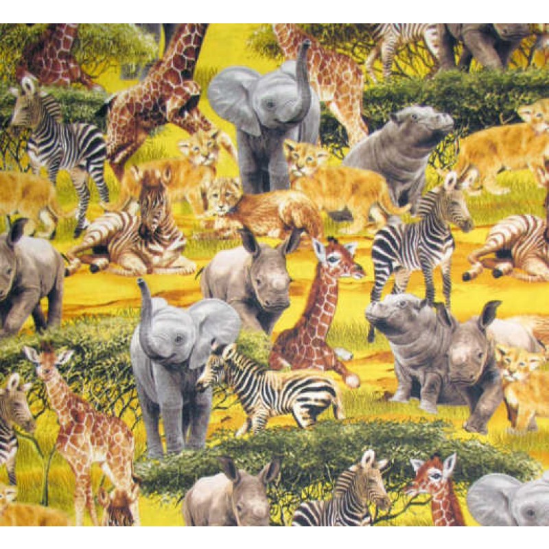 Animal Safari : Dyrebørn