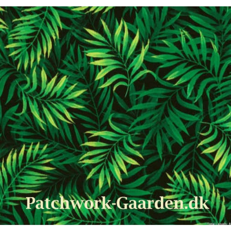 Islands Breeze : Palm Leaves