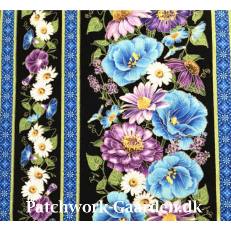 Cottage Grove : Border