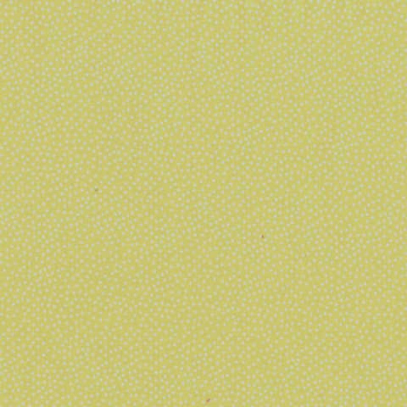 Garden Pindot - Sunny : Gul