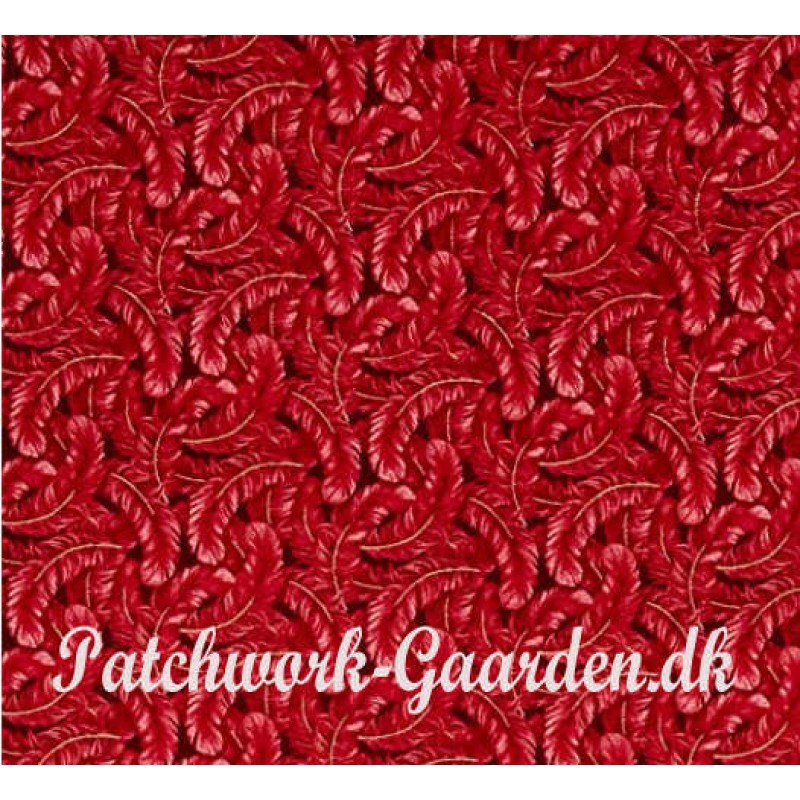 Dogwood Lane : Feathers