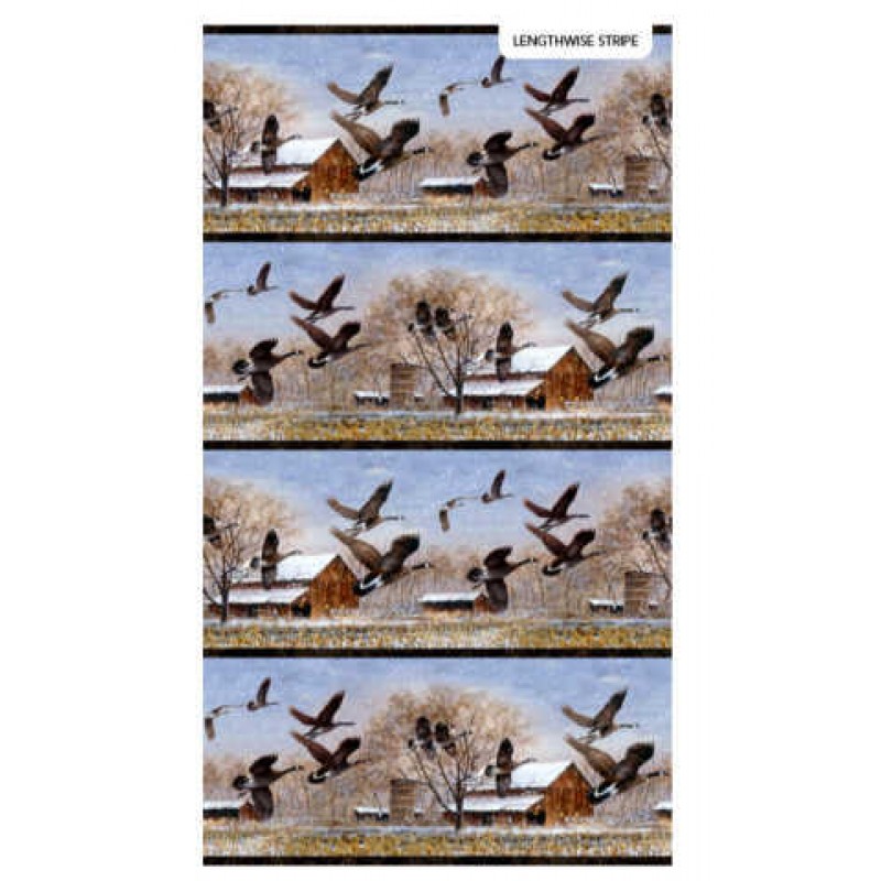 Take a Gender : Panel - Gæs