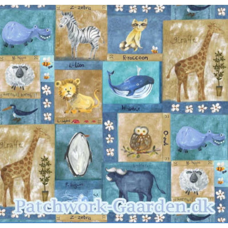 Blue Friends of Many Colors : Billeder