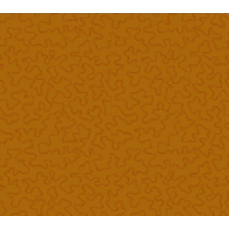 Bear Essentials 3 : 665Y