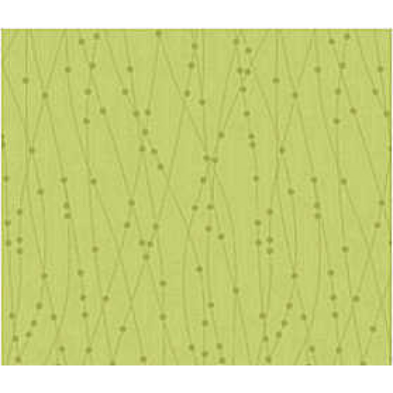 Bear Essentials 3 : 666-g