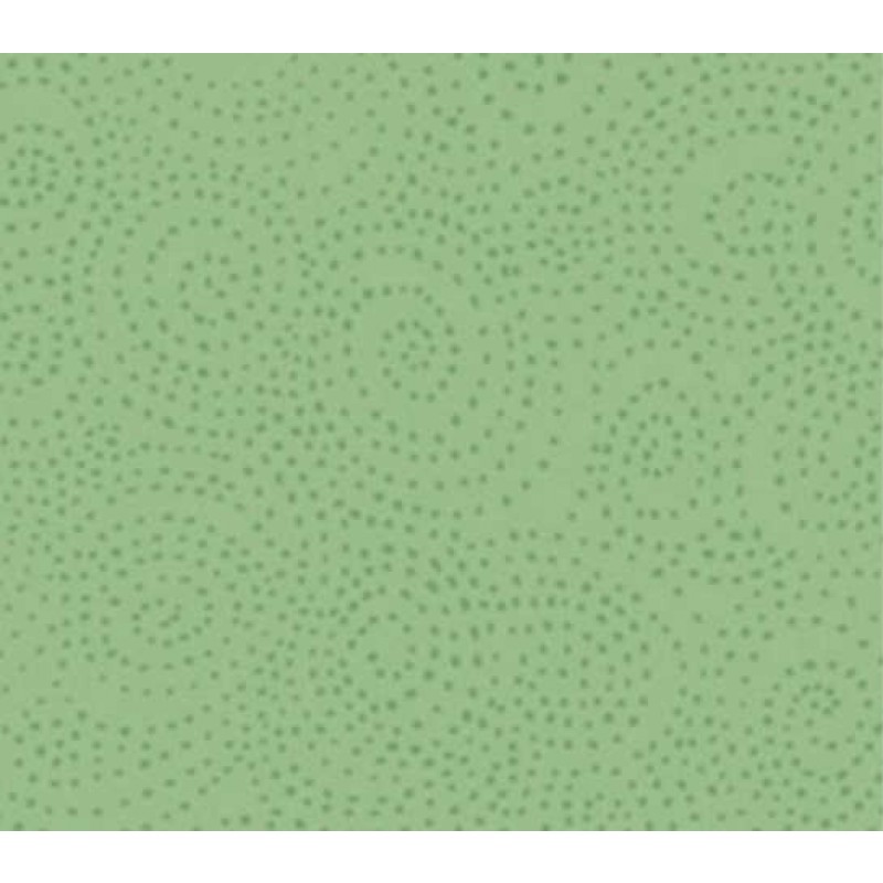 Bear Essentials 3 : 669M