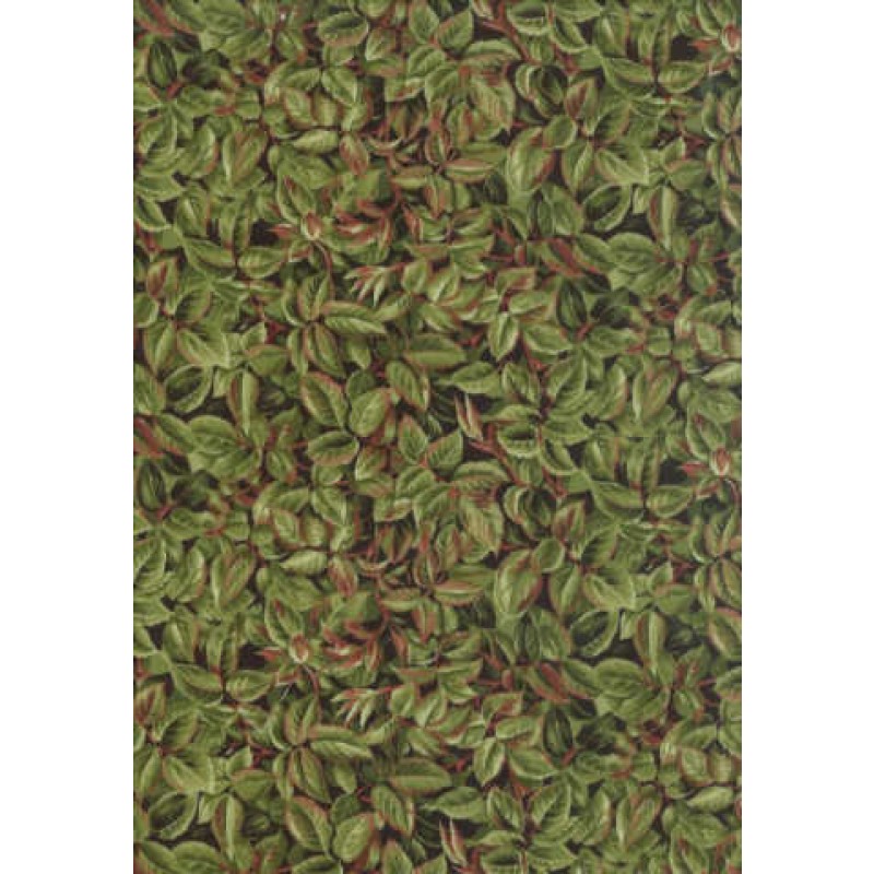 Renaissance : Mørke blade