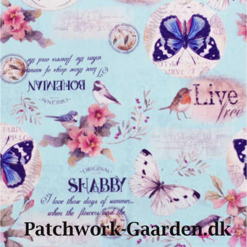 Forever : Sommerfugle