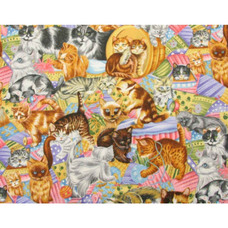 katte i stofbunkerne