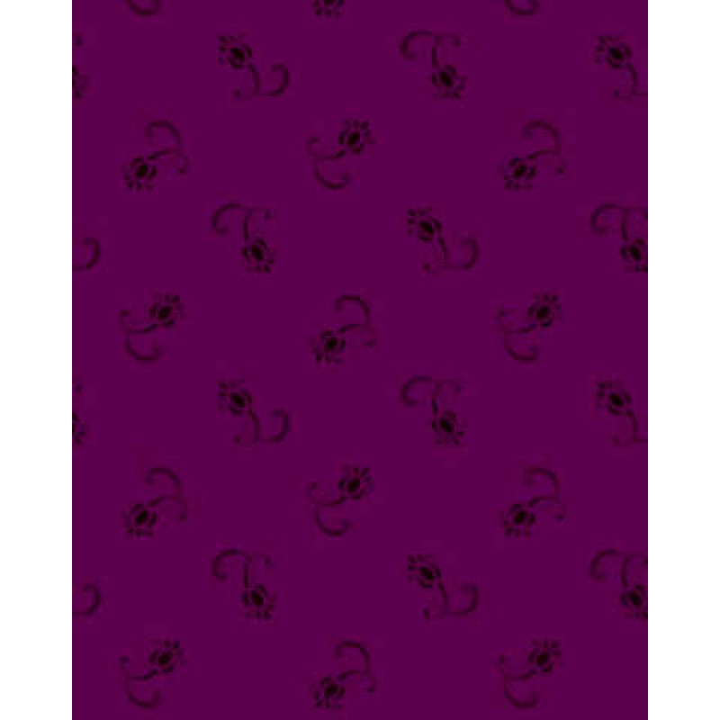 Tulip Festival : Mørk Lilla