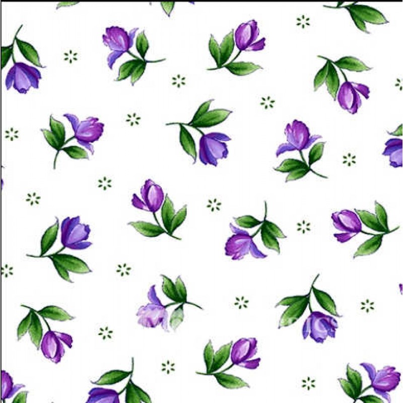 Catalina : Ultra Violet